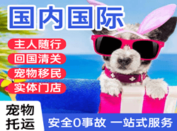 三沙永兴机场物流国际宠物托运 【国